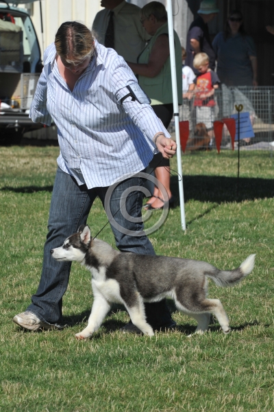 UKC_7080.JPG