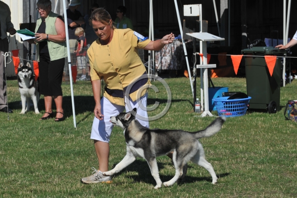 UKC_7087.JPG