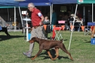 UKC_6742