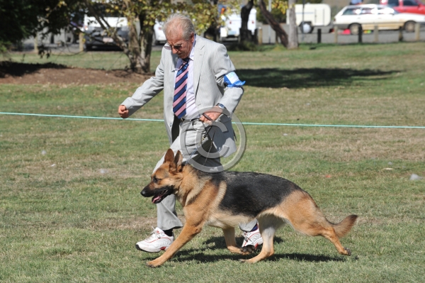 TAS_0227.JPG