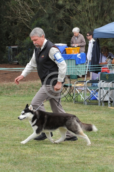 TAS_8800.JPG