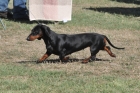 TAS_0212