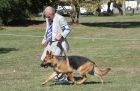TAS_0229