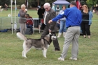 TAS_8700