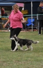 TAS_8771