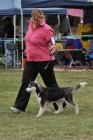 TAS_8773