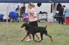 TAS_8911