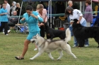 TAS_8989