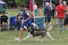TAS_9044