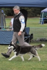 TAS_9127
