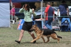 TAS_9226