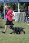 TAS_9622