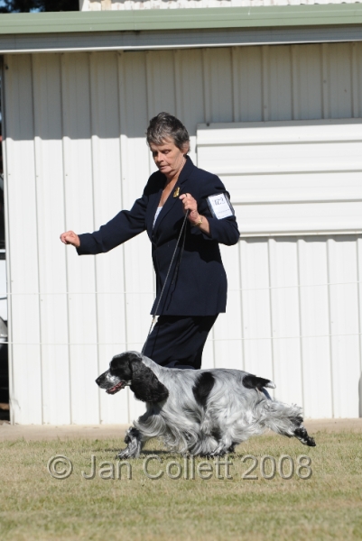 DOG_7731.JPG