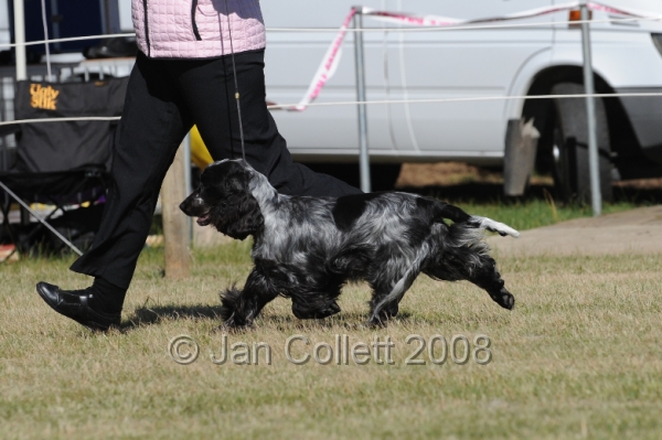 DOG_7739.JPG