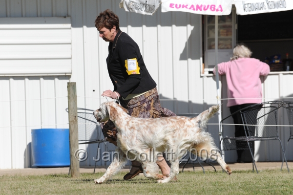 DOG_7754.JPG