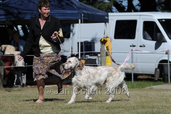 DOG_7797.JPG