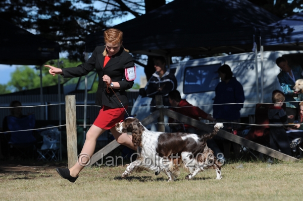 DOG_7806.JPG