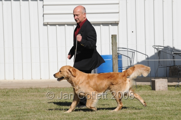 DOG_7840.JPG