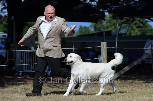 DOG_7847.JPG