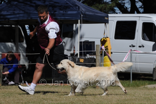 DOG_7855.JPG