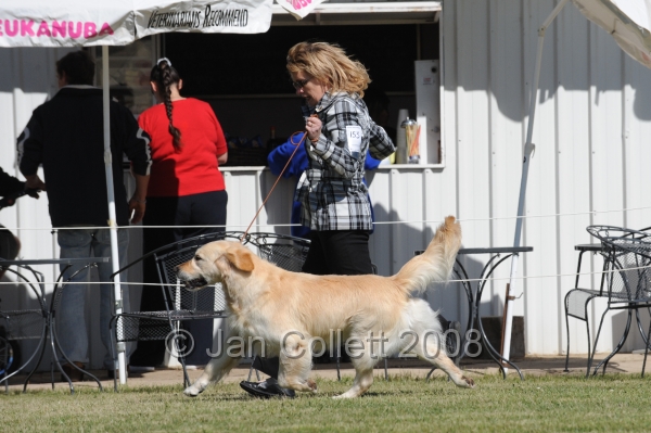 DOG_7862.JPG