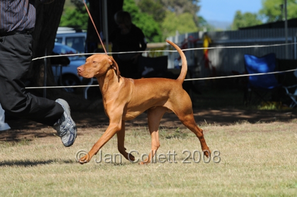 DOG_7879.JPG