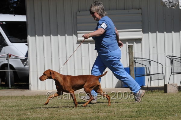 DOG_7972.JPG