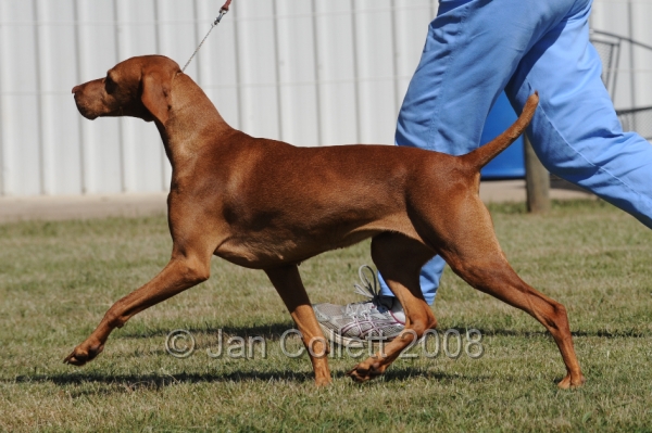 DOG_7990.JPG