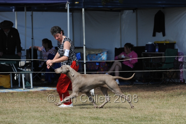 DOG_8030.JPG