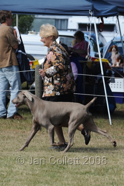 DOG_8043.JPG