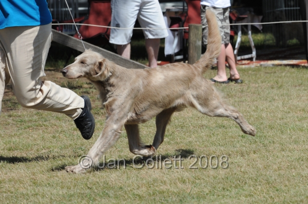 DOG_8056.JPG