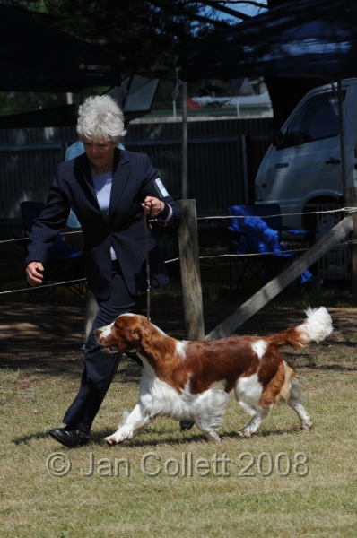 DOG_8063.JPG