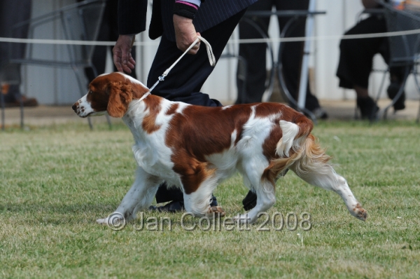 DOG_8066.JPG