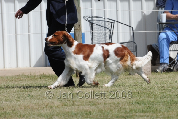 DOG_8082.JPG