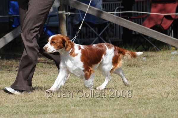 DOG_8085.JPG