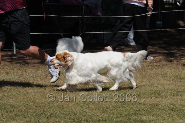 DOG_8098.JPG
