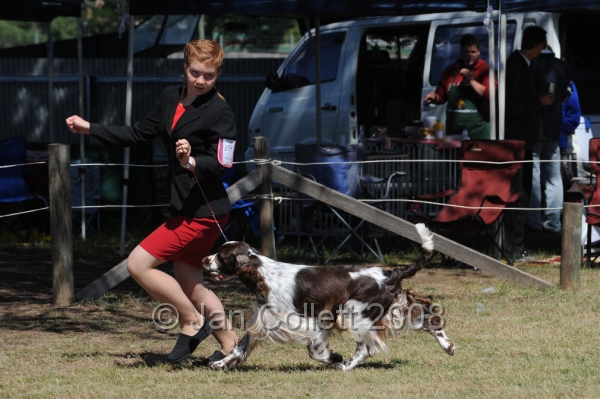 DOG_8125.JPG