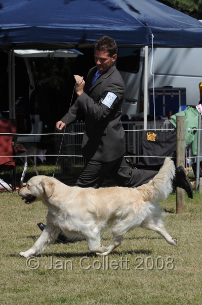 DOG_8136.JPG