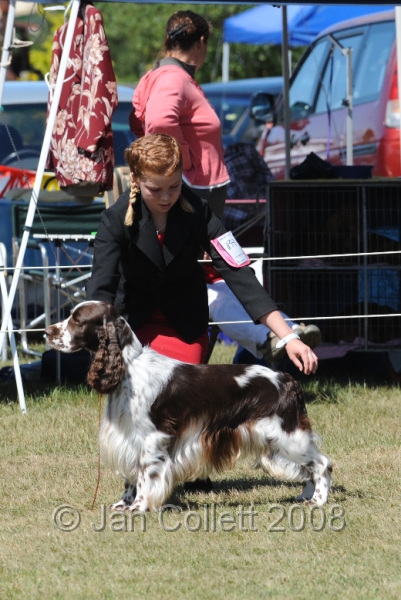 DOG_8162.JPG