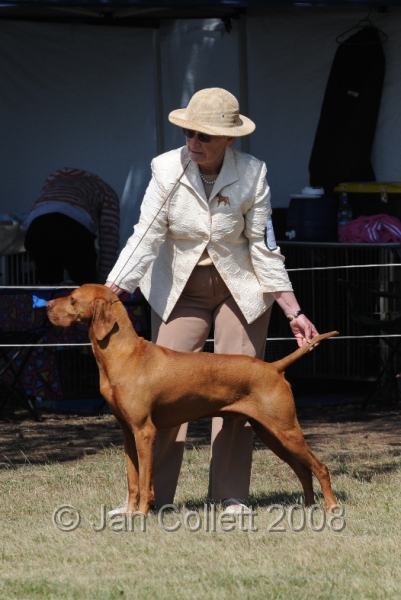 DOG_8164.JPG