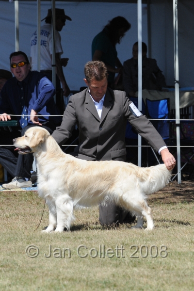 DOG_8166.JPG