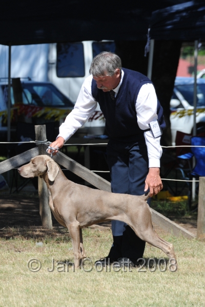 DOG_8168.JPG