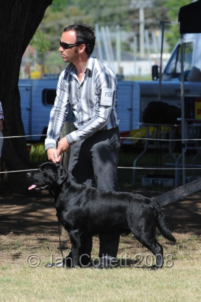 DOG_8169.JPG