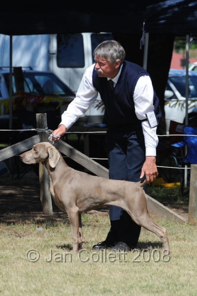 DOG_8170.JPG