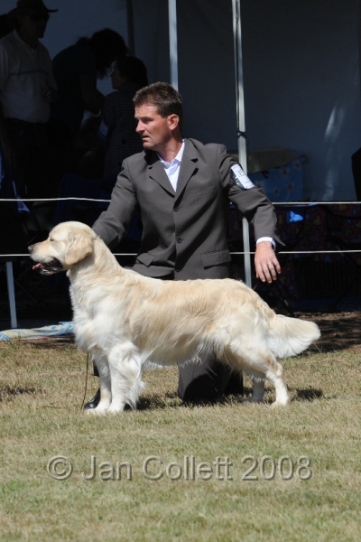 DOG_8177.JPG