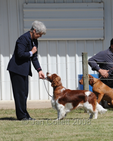 DOG_8187.JPG