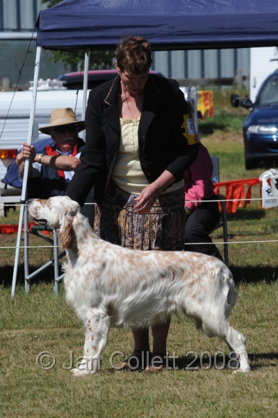 DOG_8188.JPG