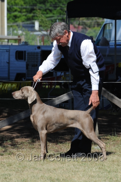 DOG_8190.JPG