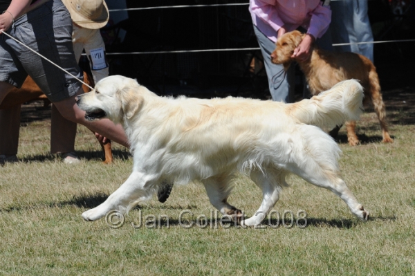 DOG_8196.JPG