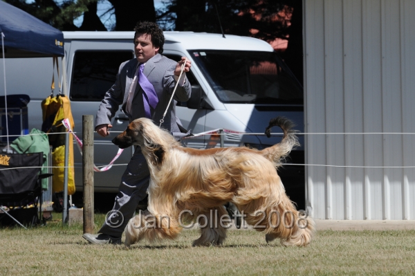 DOG_8218.JPG